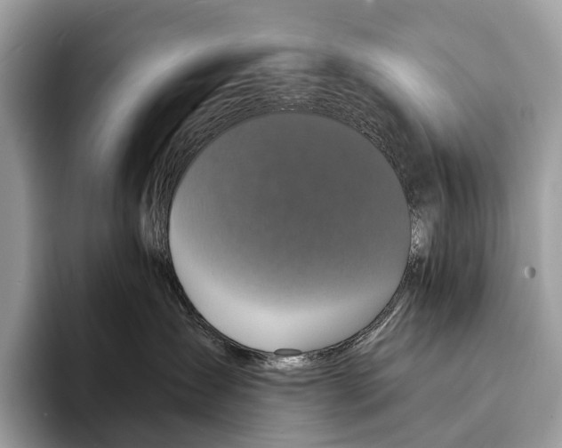 X0000095530431200801111417