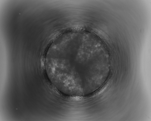 X0000095530432200801111417