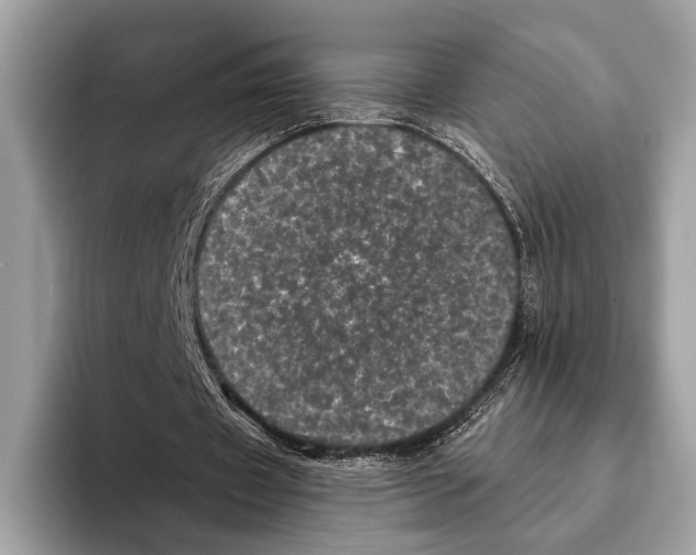 X0000095530433200801111416