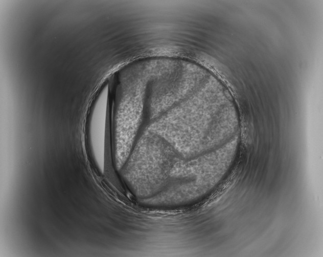 X0000095530434200801111416