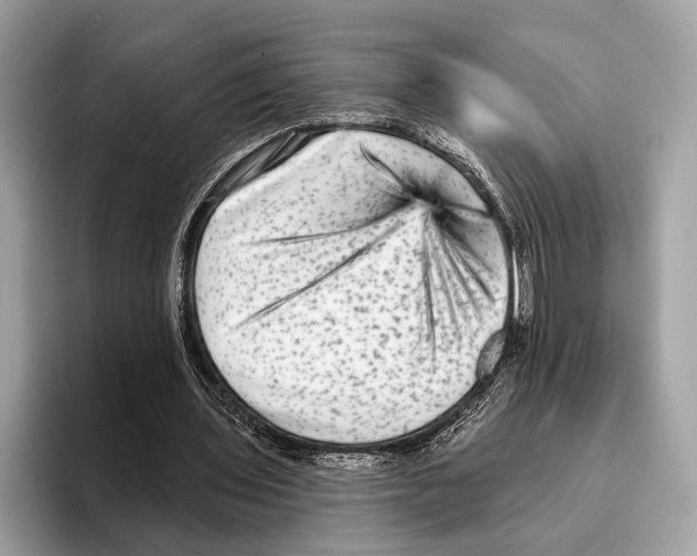 X0000095530435200801111416