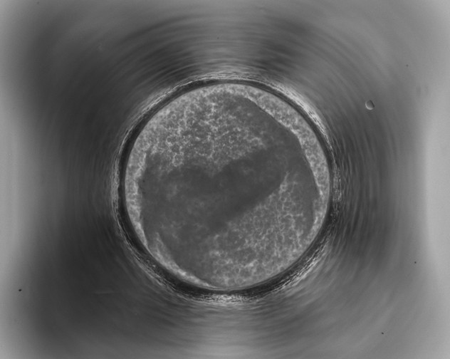 X0000095530437200801111416