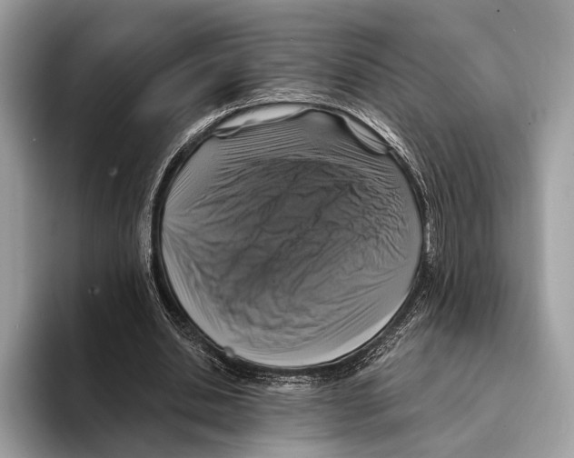 X0000095530438200801111416