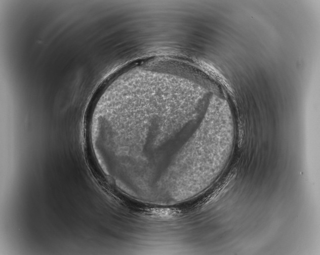 X0000095530439200801111416