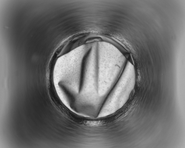 X0000095530440200801111416