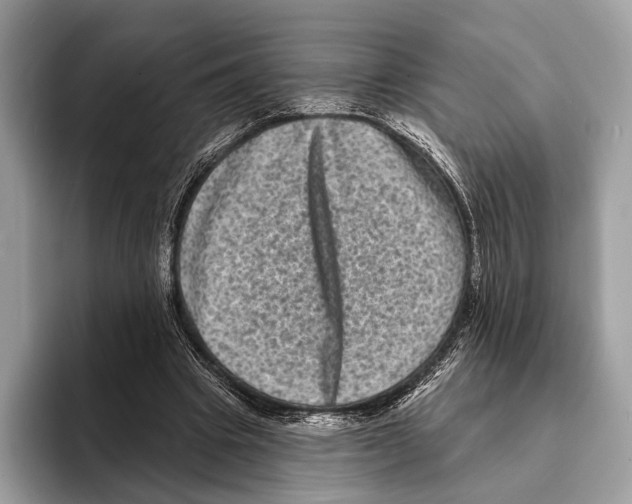 X0000095530441200801111416