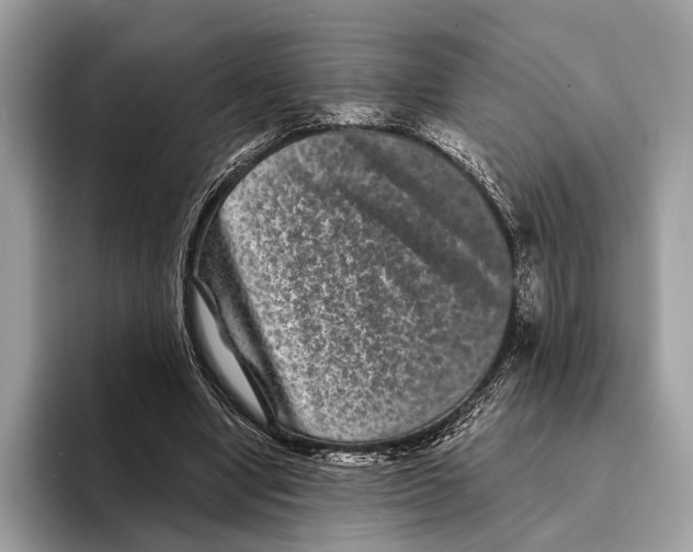 X0000095530442200801111416