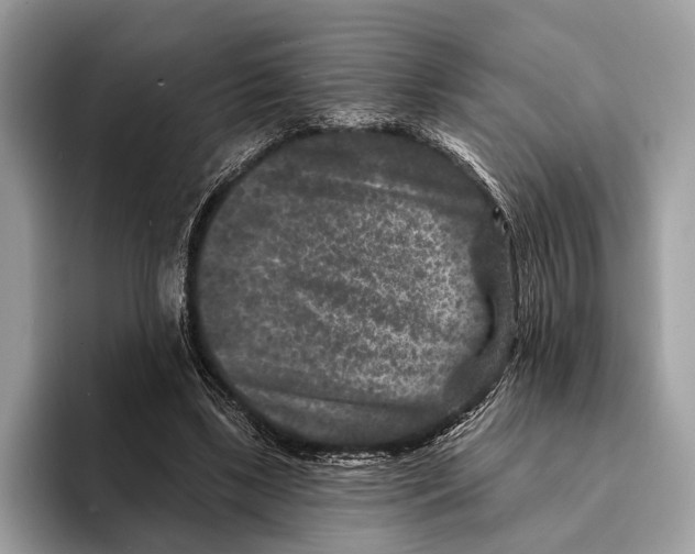 X0000095530443200801111416