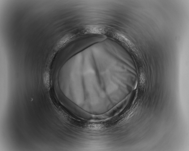 X0000095530444200801111416