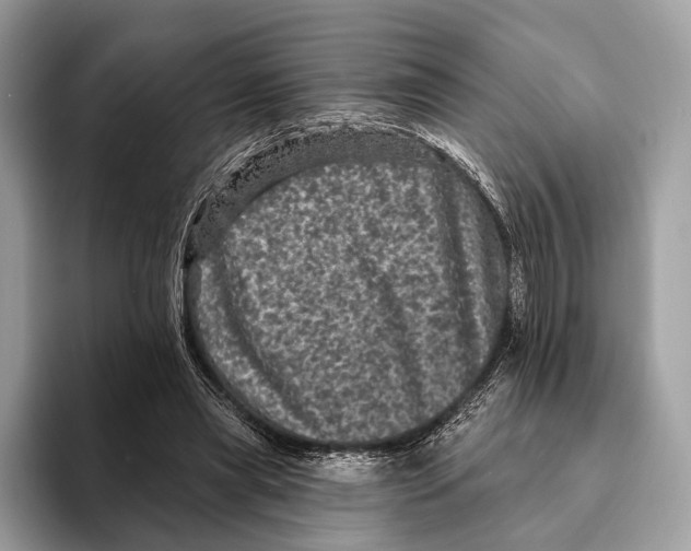 X0000095530445200801111416