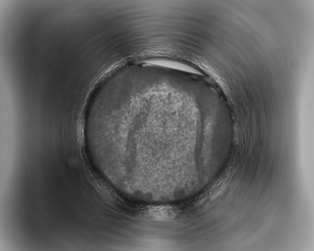 X0000095530446200801111416