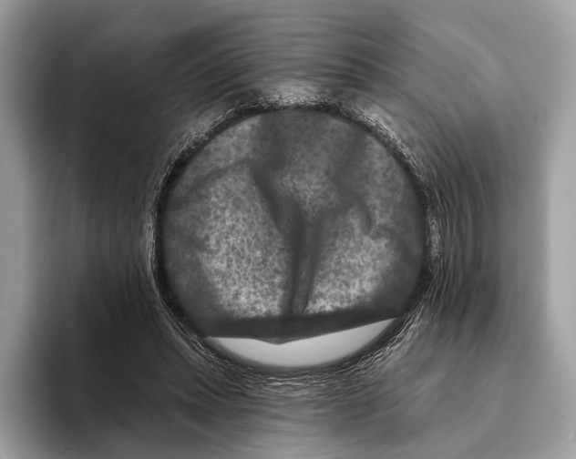 X0000095530447200801111416