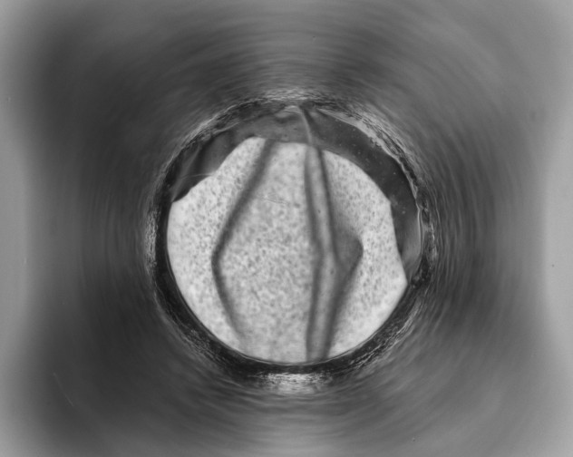 X0000095530448200801111416