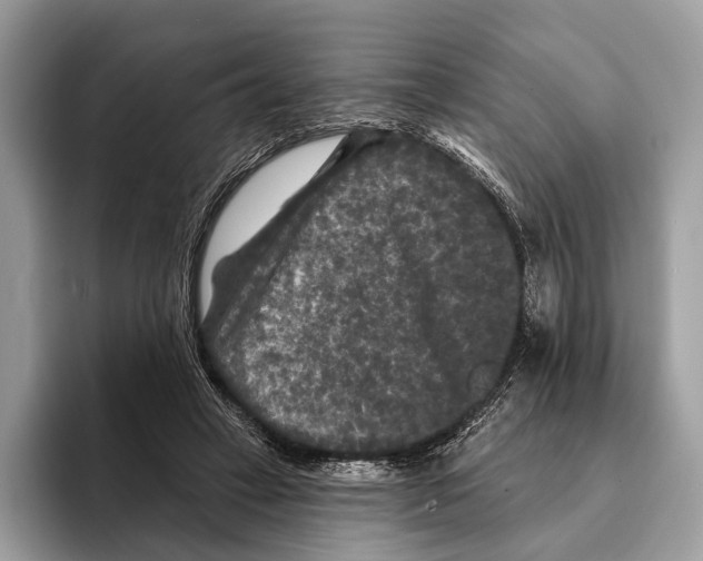 X0000095530449200801111416