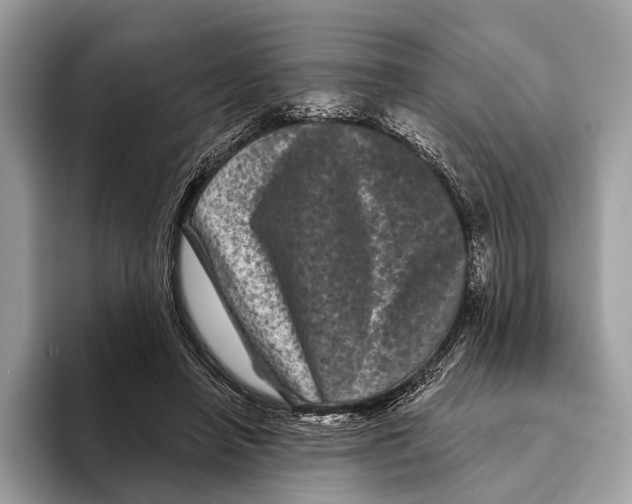 X0000095530450200801111416