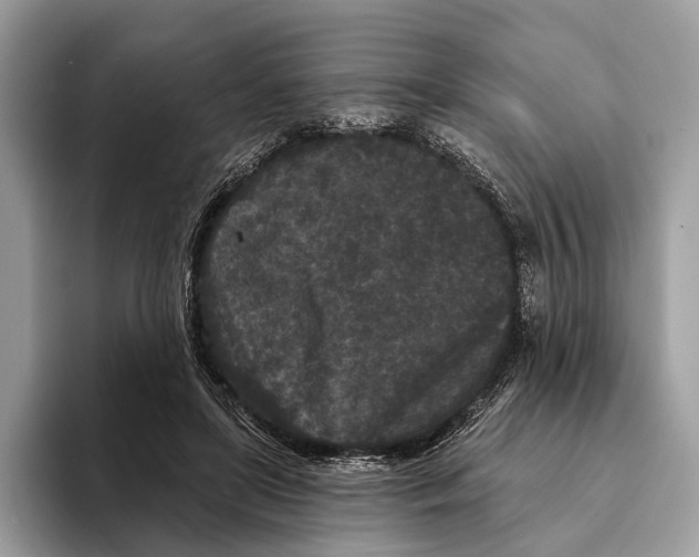 X0000095530451200801111416