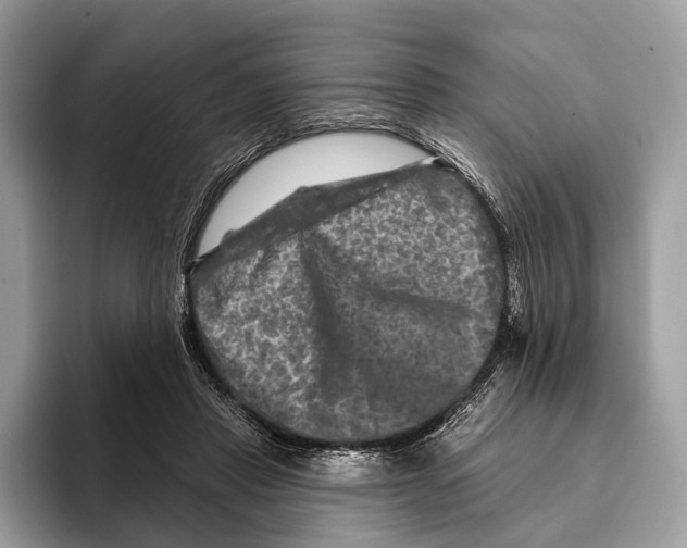 X0000095530453200801111416