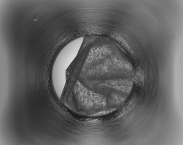 X0000095530454200801111416