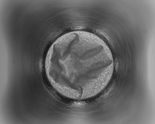 X0000095530455200801111416