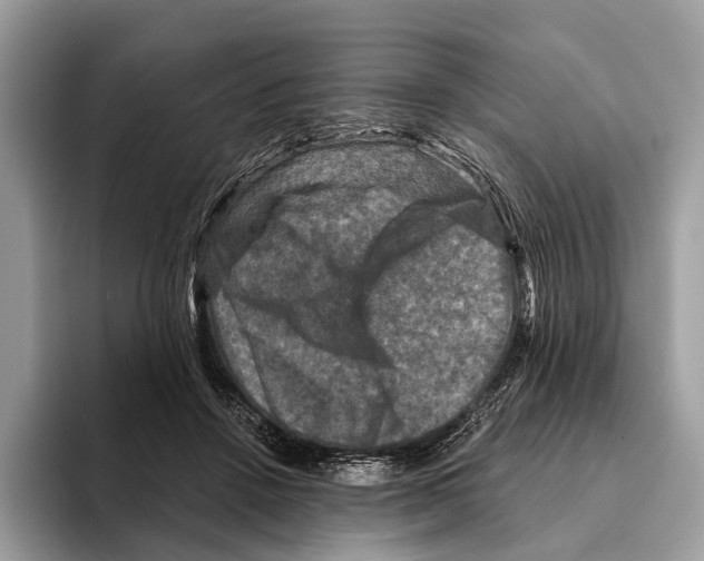 X0000095530456200801111416