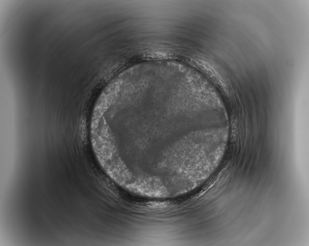 X0000095530457200801111416