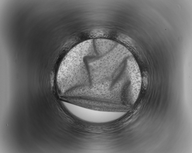 X0000095530458200801111416