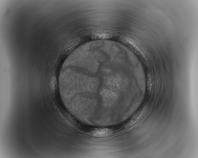 X0000095530459200801111416