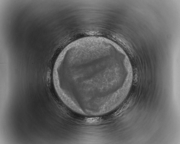 X0000095530461200801111416