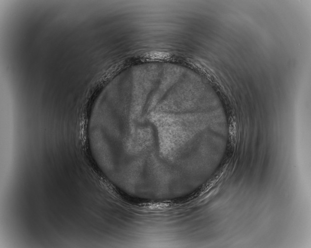 X0000095530462200801111416