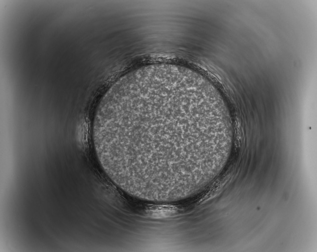 X0000095530463200801111416