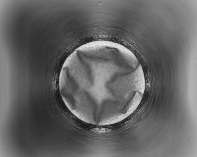 X0000095530464200801111416