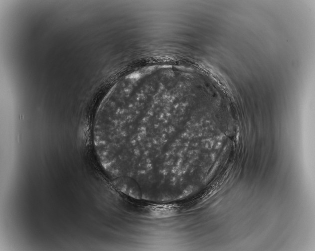 X0000095530465200801111416