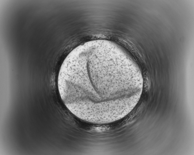 X0000095530466200801111417