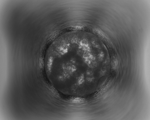 X0000095530467200801111417