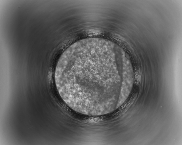 X0000095530468200801111417