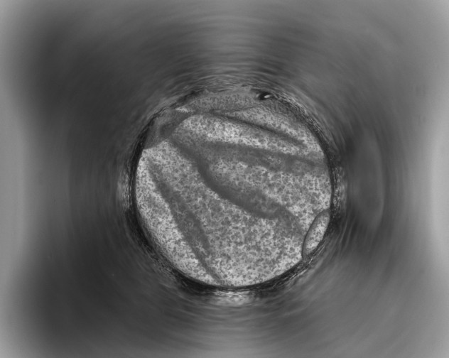 X0000095530469200801111417