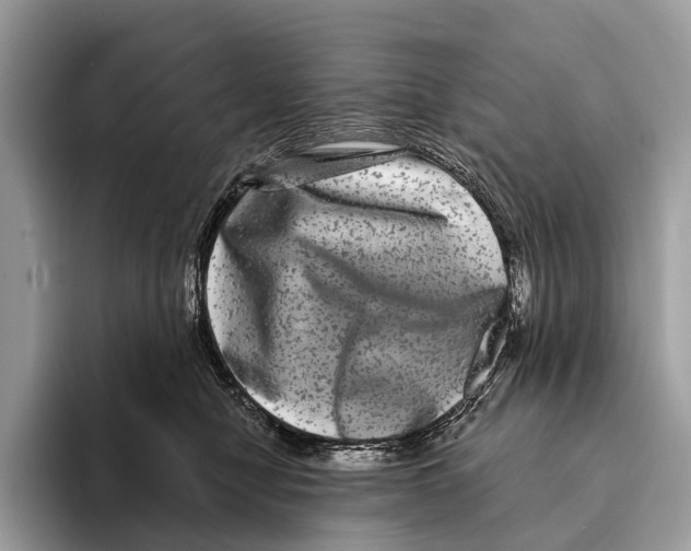 X0000095530470200801111417