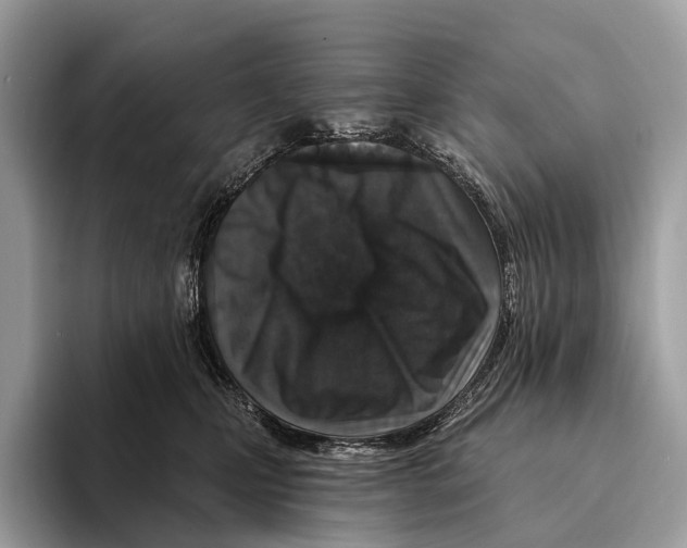 X0000095530471200801111417