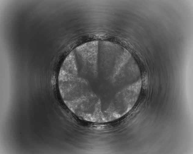 X0000095530472200801111417