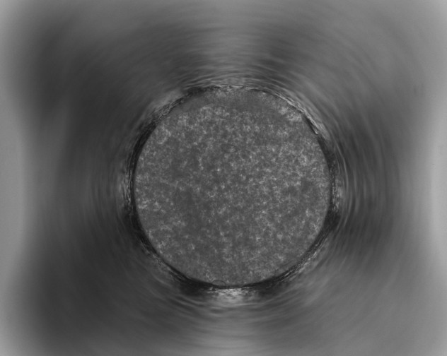 X0000095530473200801111417