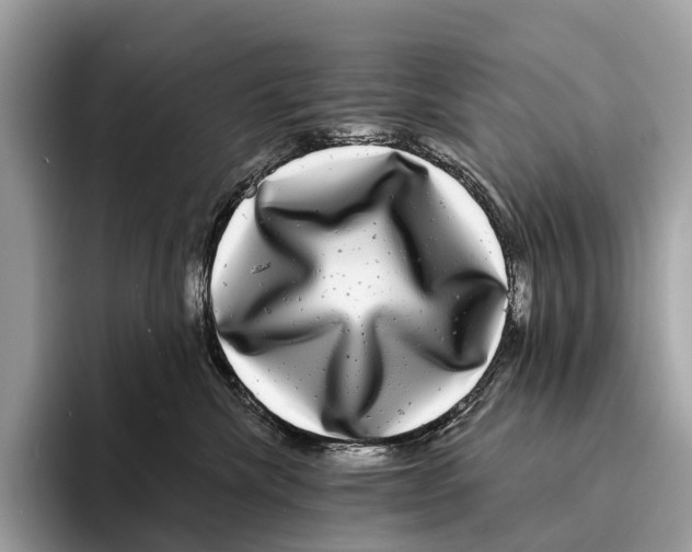 X0000095530476200801111417