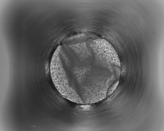 X0000095530478200801111417