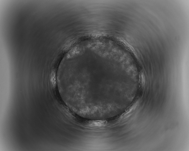 X0000095530479200801111417