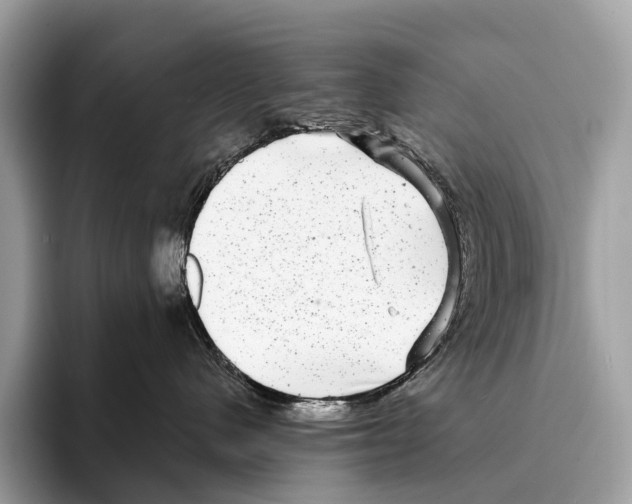 X0000095530480200801111417