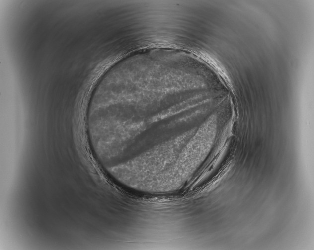 X0000095530481200801111416