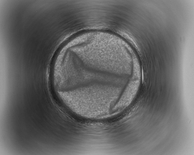 X0000095530483200801111416