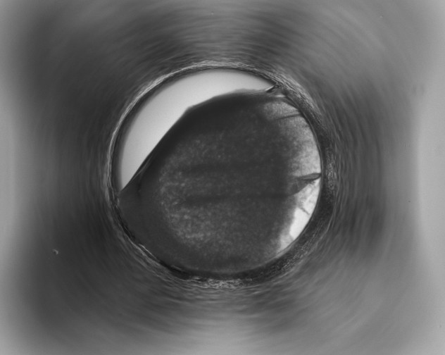 X0000095530484200801111416