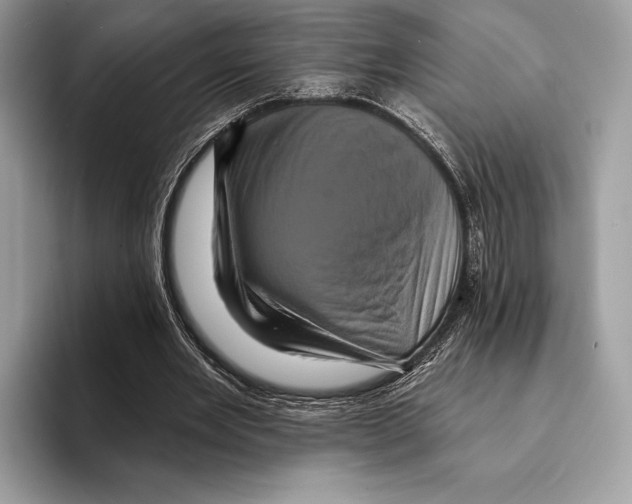 X0000095530485200801111416