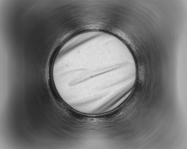 X0000095530486200801111416