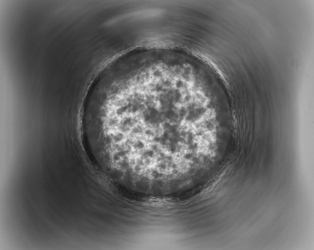 X0000095530487200801111416